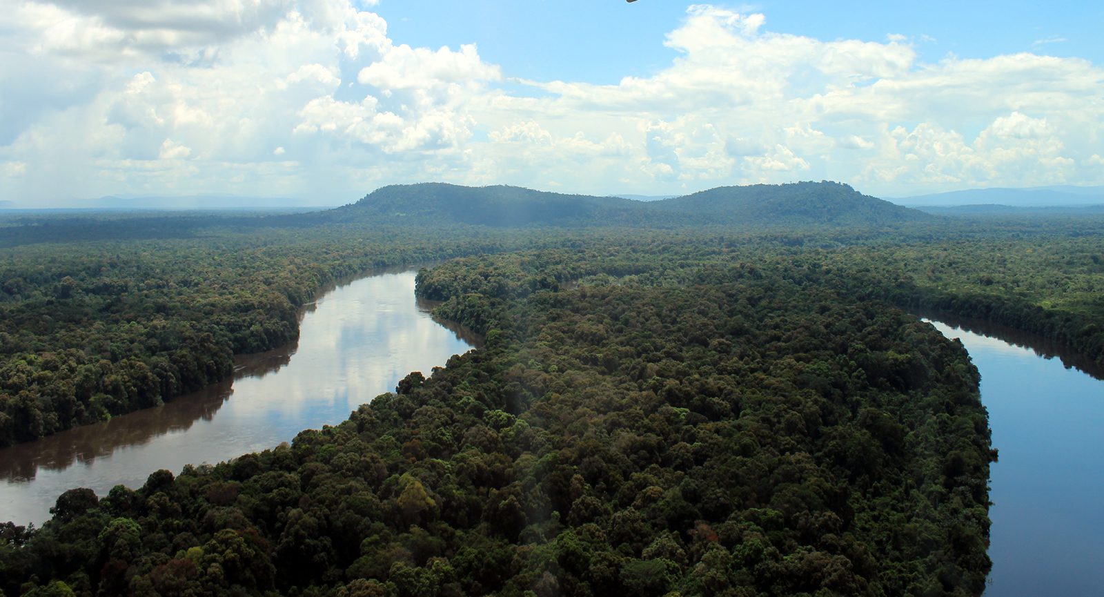 Guyana's Iwokrama Forest retains International FSC Certification 1 The Iwokrama Forest