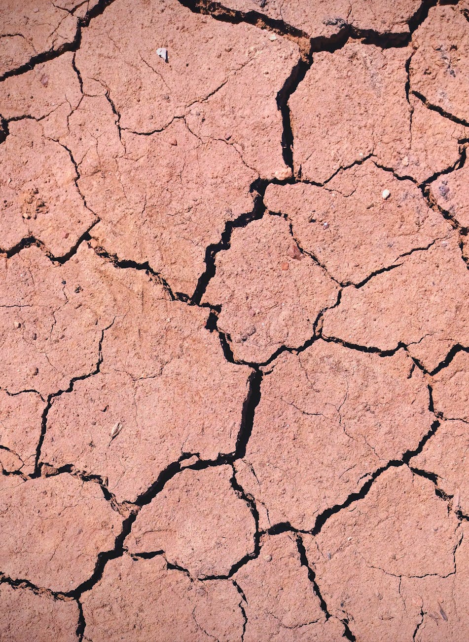 a cracked and dry dirt surface with cracks